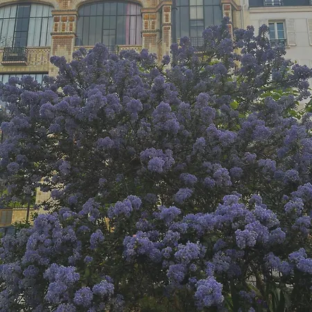 شقة Charming Flat, Saint-germain & Luxembourg
